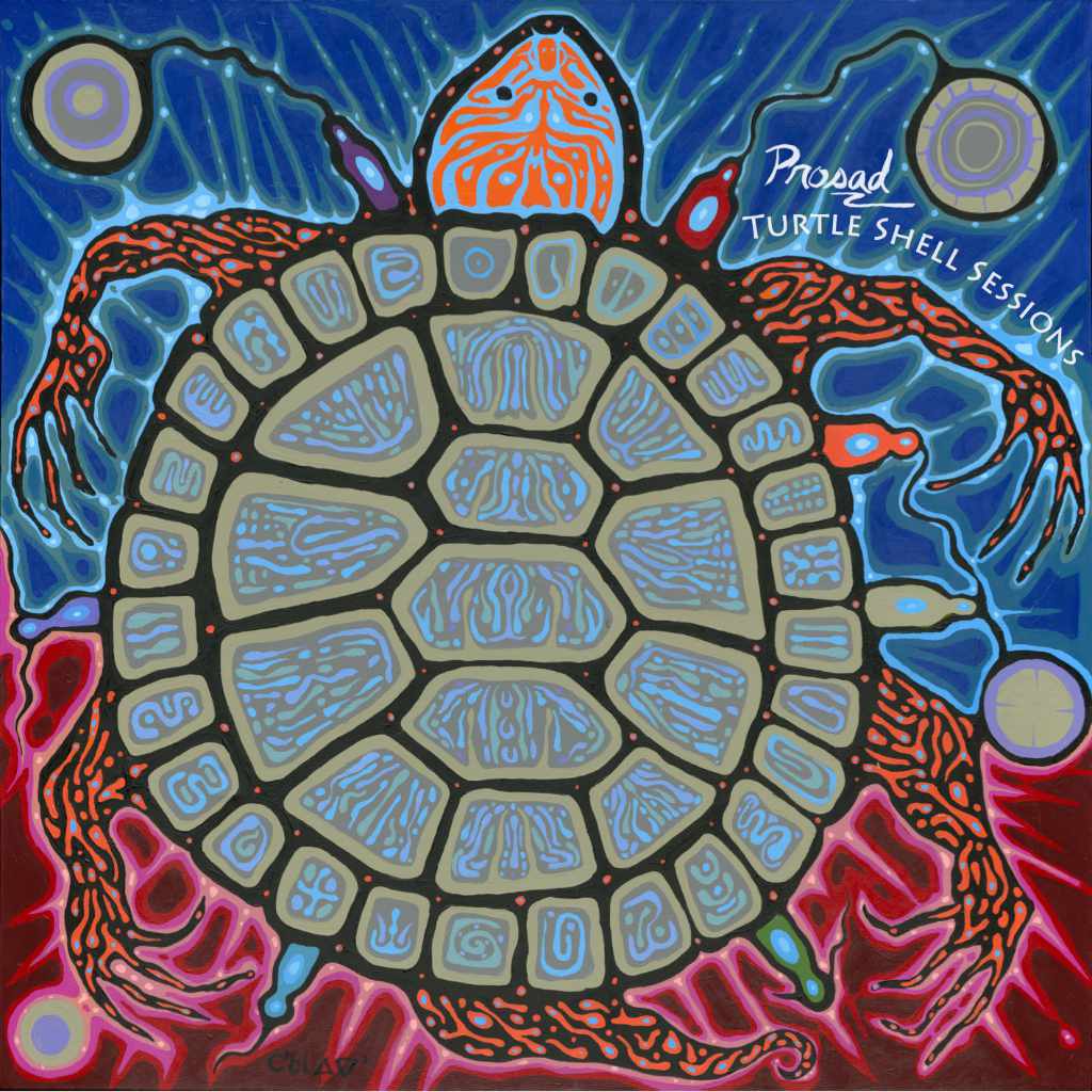 Turtle Shell Sessions (Acoustic Songwriter)
