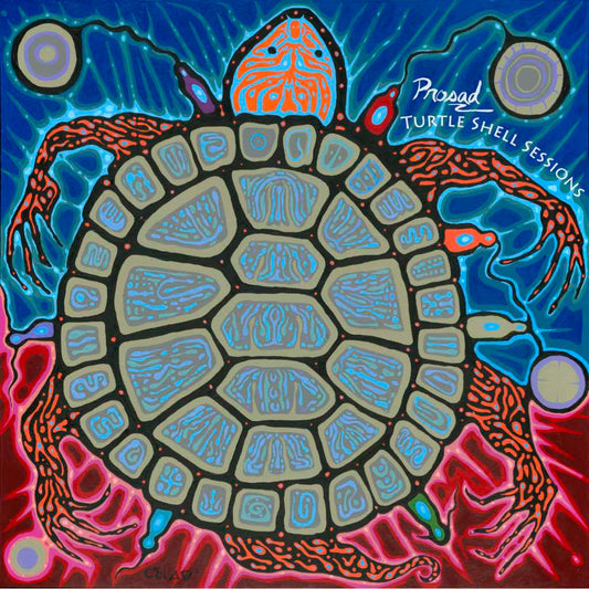 Turtle Shell Sessions (Acoustic Songwriter)