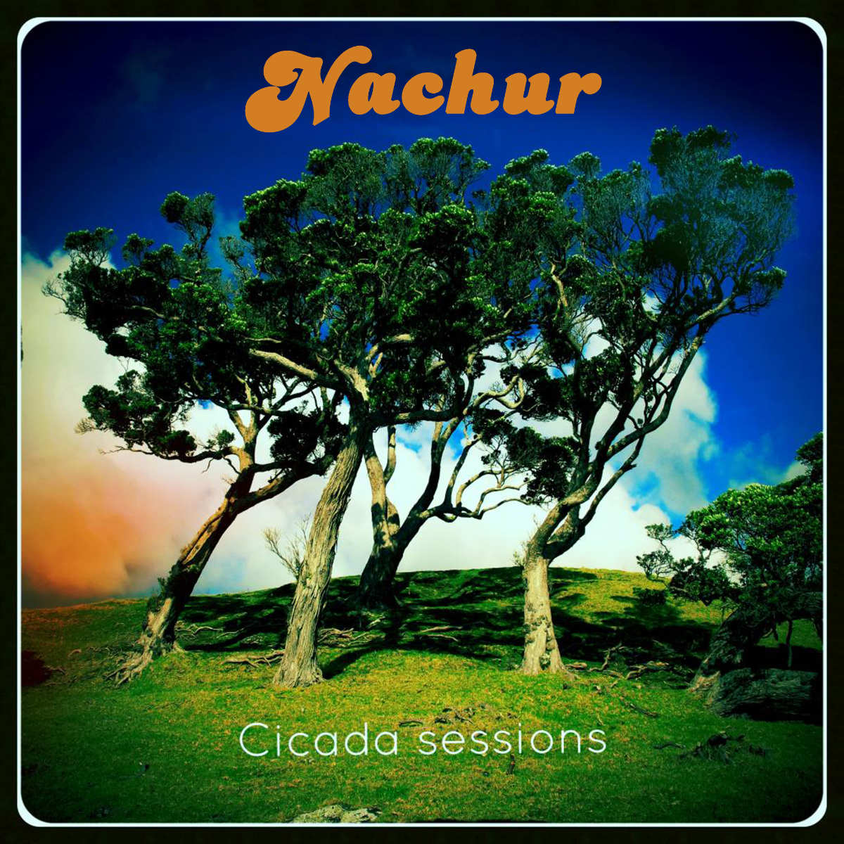 Complete Digital Music Download